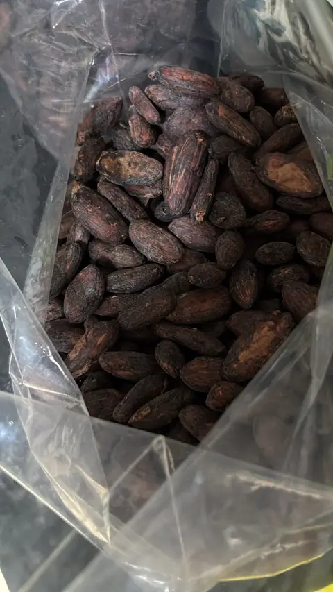 Dried Canaán cacao beans in a clear bag