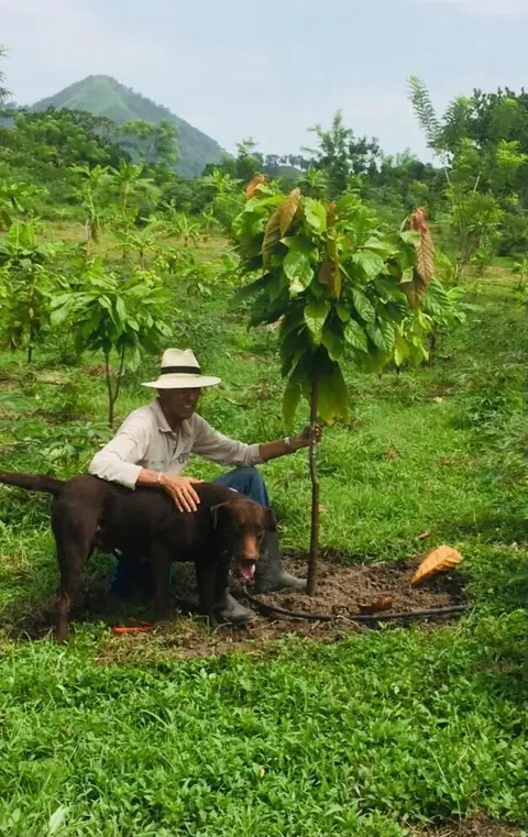 Agronomist Alfredo Gómez kneeling beside a young cacao tree with his dog, the Sierra Nevada foothills behind